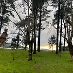Alda Playa