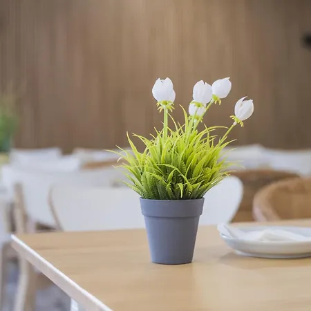 Pensión Alda Playa Cabañas