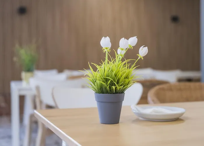 Konukevi Alda Playa Cabañas