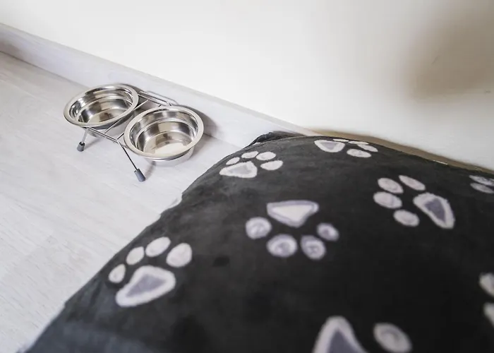 Penzion Alda Playa Cabañas